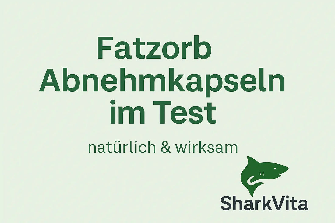 🌿 Fatzorb Abnehmkapseln im Test – natürlich & wirksam