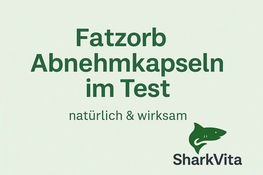🌿 Fatzorb Abnehmkapseln im Test – natürlich & wirksam