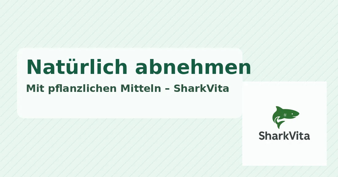 Naturlich abnehmen